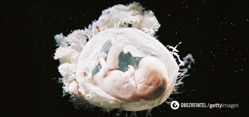 Chiny odnotowują ciąże z embrionami z odwróconymi narządami: naukowcy nie rozumieją, co się dzieje