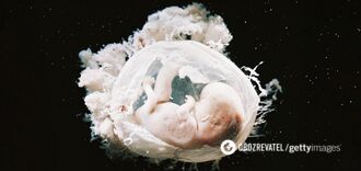 Chiny odnotowują ciąże z embrionami z odwróconymi narządami: naukowcy nie rozumieją, co się dzieje