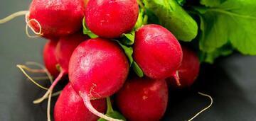 Nine arguments in favor of radishes