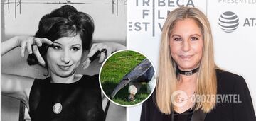 Barbra Streisand, 81, explains why she has never had a nose job, which led to her being nicknamed the 'ant-eater.' Photo