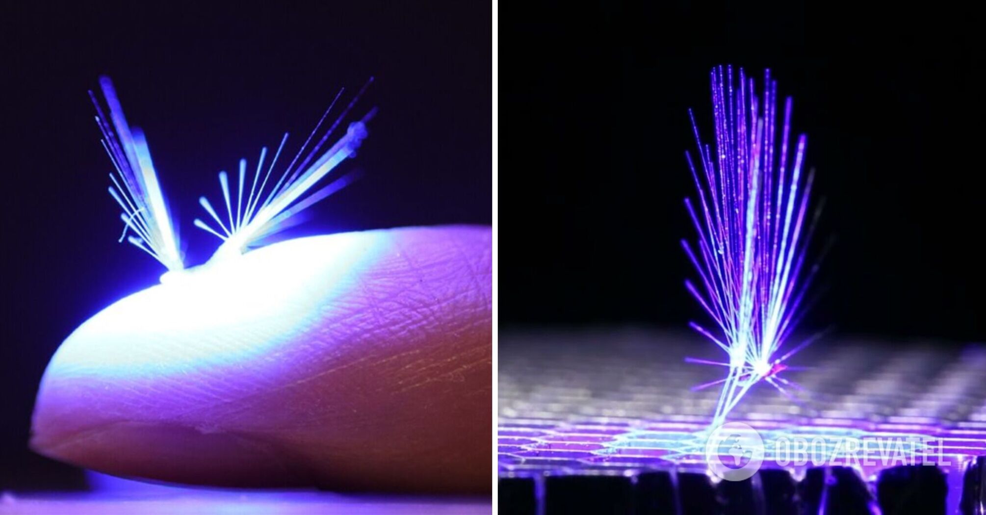 Scientists have created a fairy robot that can be carried by the wind: impressive video