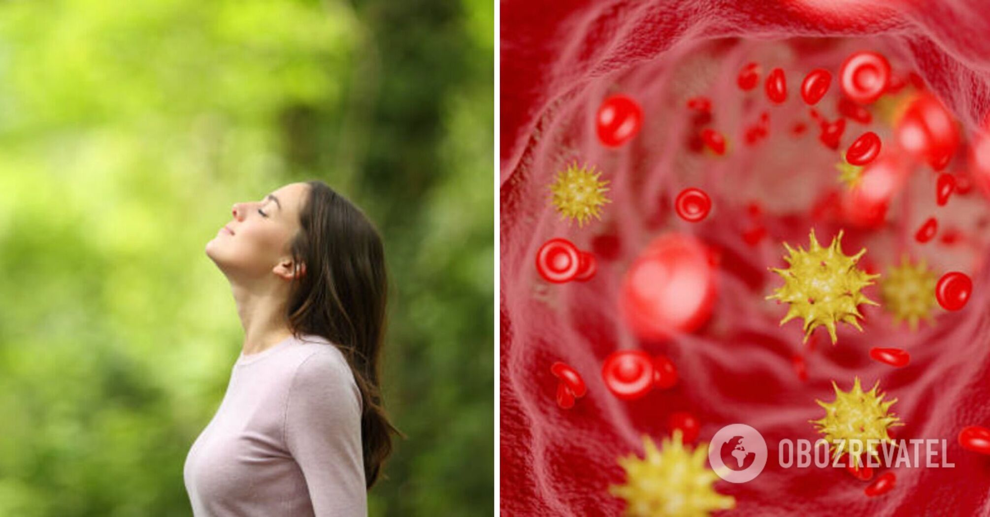 How to reduce inflammation in the body: doctors' advice