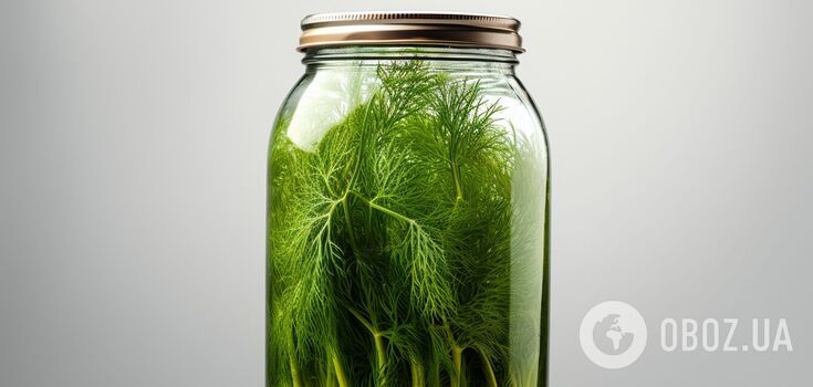 How to sow dill at home in a jar: a bouquet method that will impress every housewife