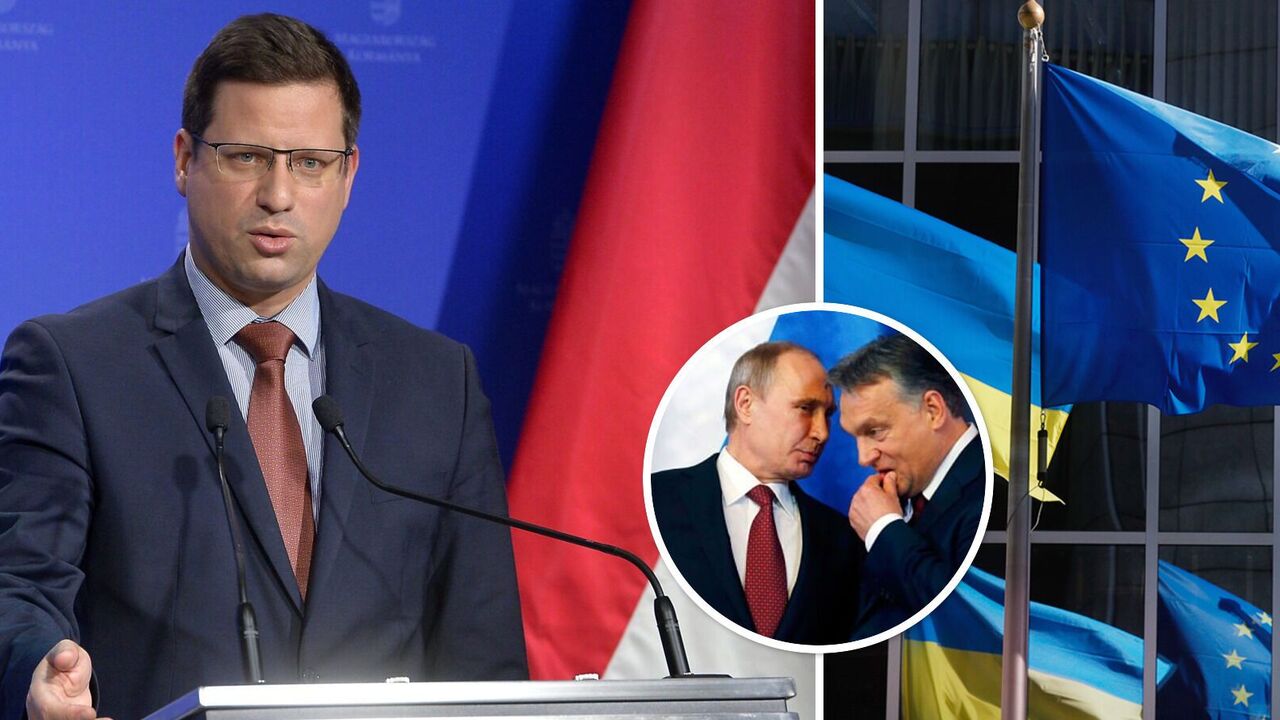 Orban says Ukraine should get a "privileged partnership" instead of EU membership