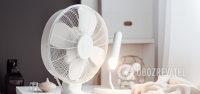 How to clean a fan from dust: simple ways 