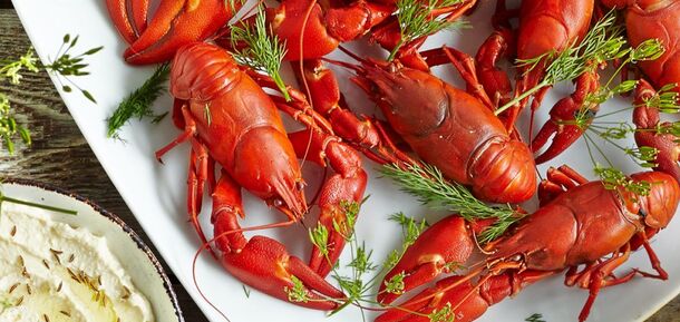 How to boil crayfish: they turn out very juicy