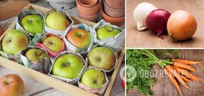 Where is the best place to store fruits and vegetables to keep them through the winter: tips
