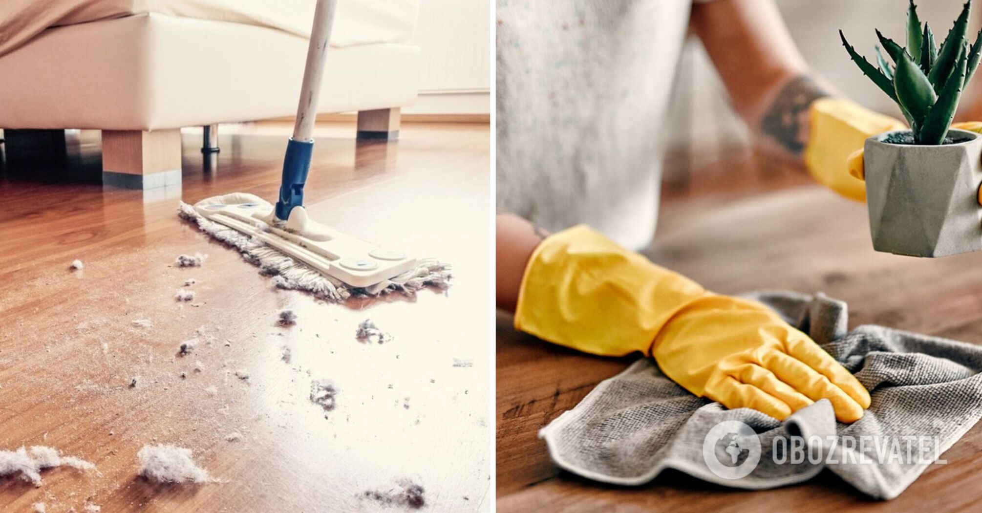 How to get rid of dust at home: five effective ways