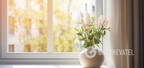 They will stay clean for months: what experienced housewives use to treat their windows