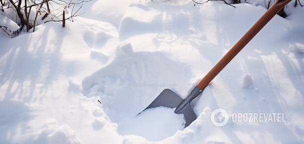 Co można sadzić nawet w śniegu: zasady siewu zimowego