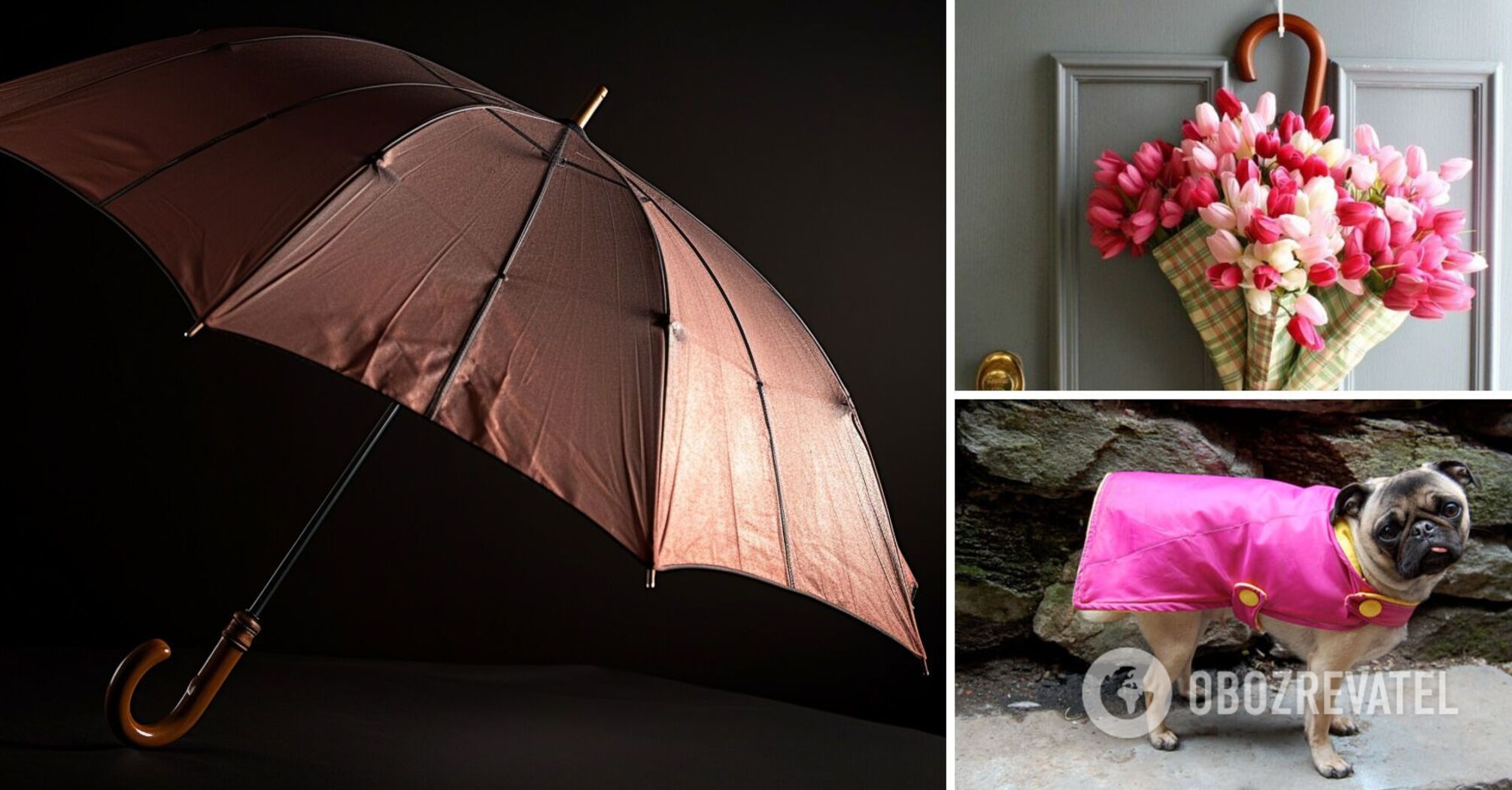 What you can make from an old umbrella: original ideas