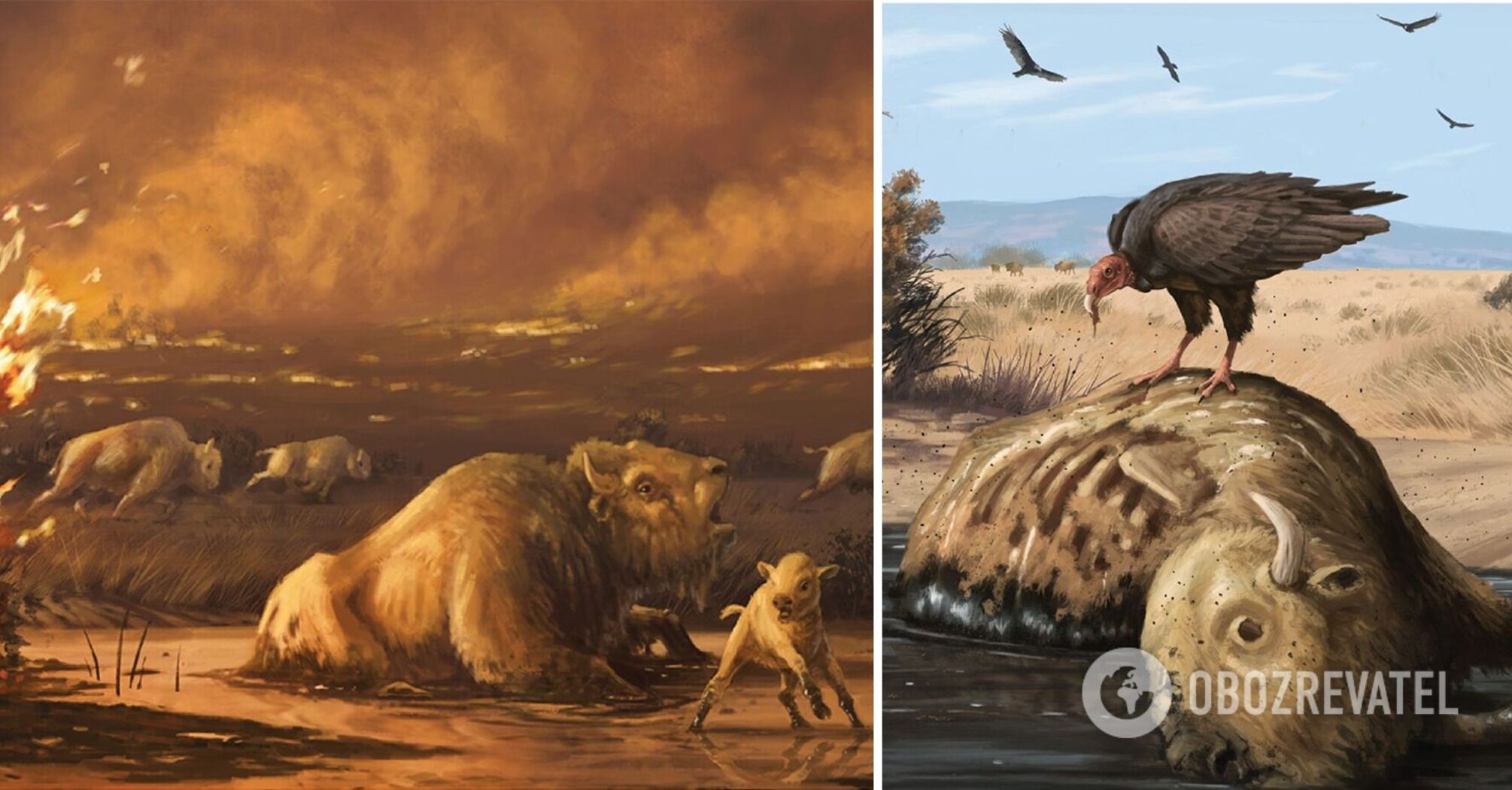 Humankind probably exterminated Earth's megafauna 13,000 years ago: how it happened