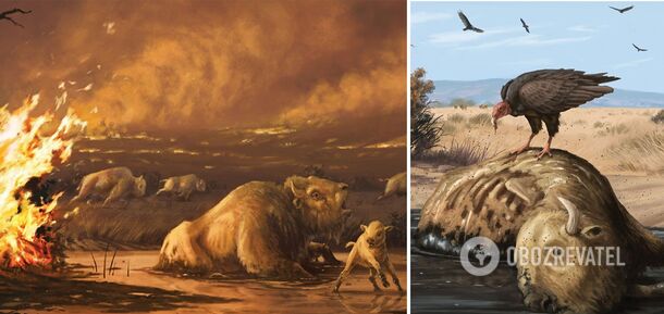 Ludzkość prawdopodobnie wytępiła megafaunę Ziemi 13 000 lat temu: jak do tego doszło?