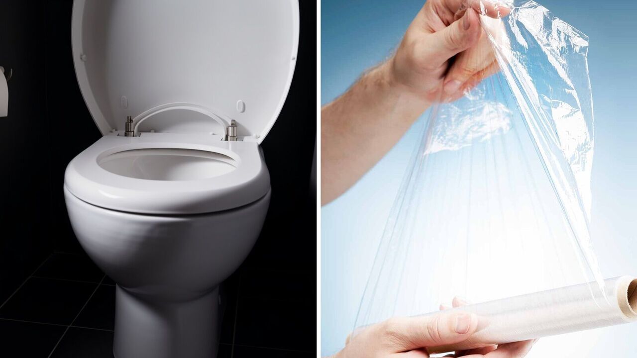 Only film needed: how to quickly unblock a clogged toilet