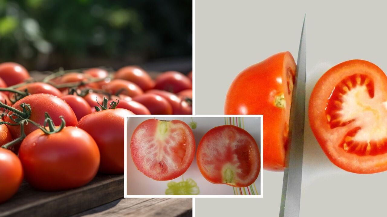 Can you eat tomatoes with white veins: they can indicate a disease