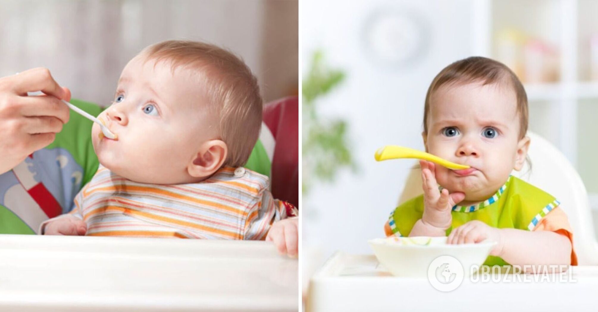 How to make healthy baby meat puree: tips from Victoria Stelmakh