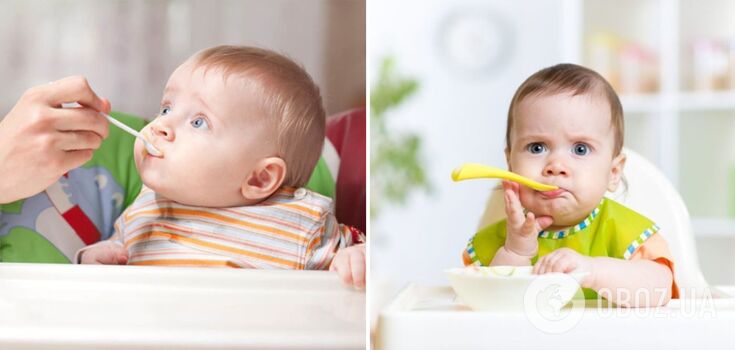 How to make the perfect meat puree for children at home: tips and recipe from an expert