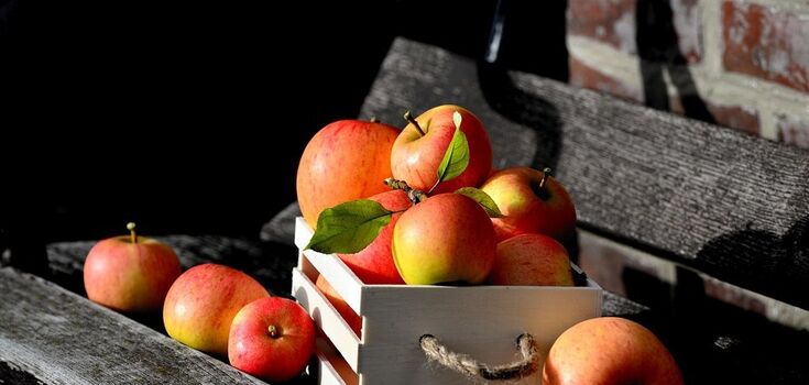Fermented apples in a few days: how to prepare in a jar