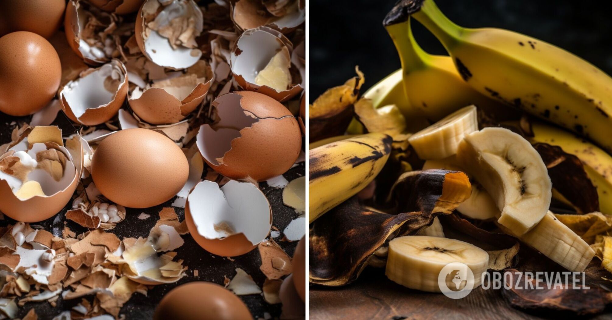 Never use these fertilizers: unnecessary substances that have no impact on the crop