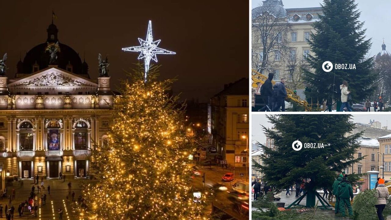 Choinka ustawiona we Lwowie: miasto aktywnie przygotowuje się do Świąt Bożego Narodzenia. Zdjęcie