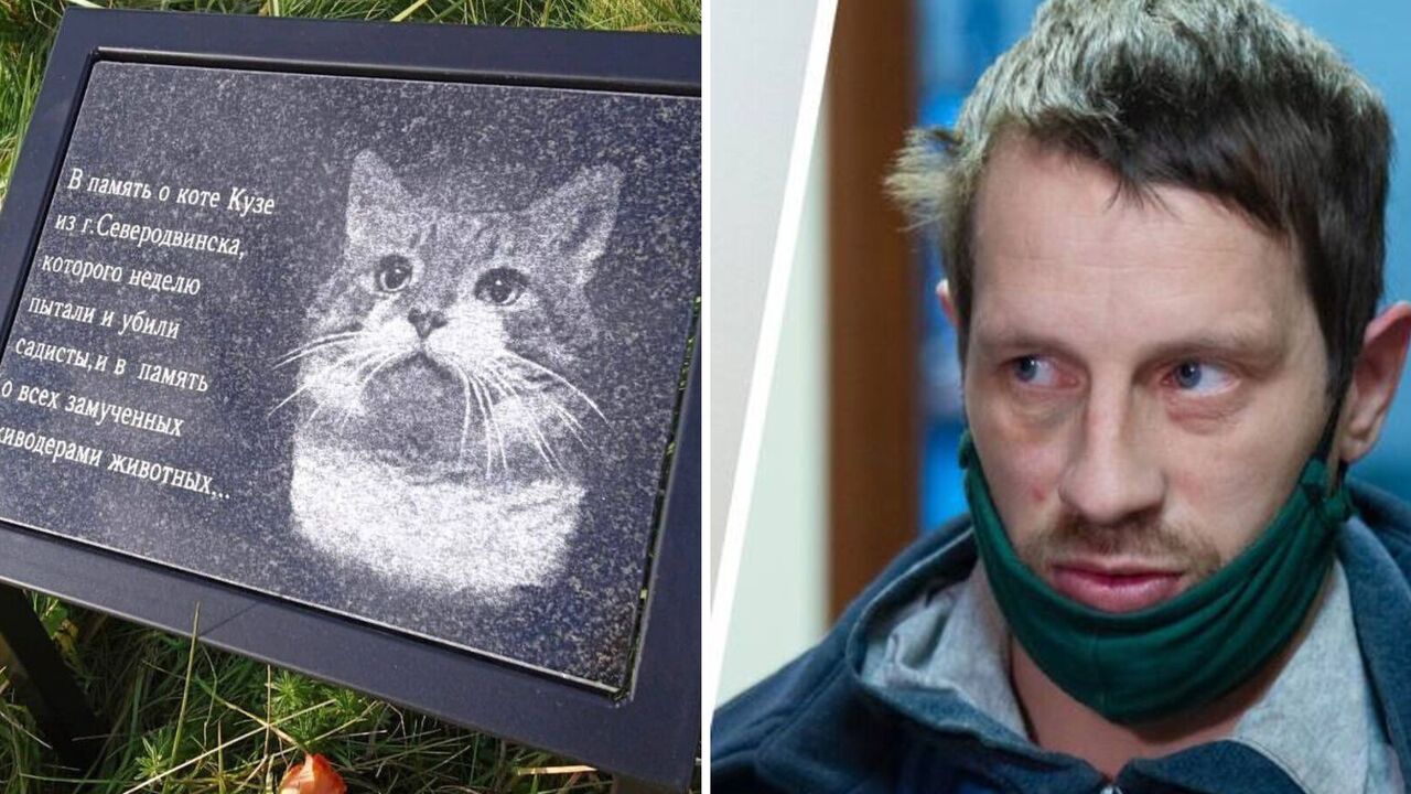 "We took revenge for Kuzia": Ukrainian Armed Forces eliminate occupier who tortured a cat to death