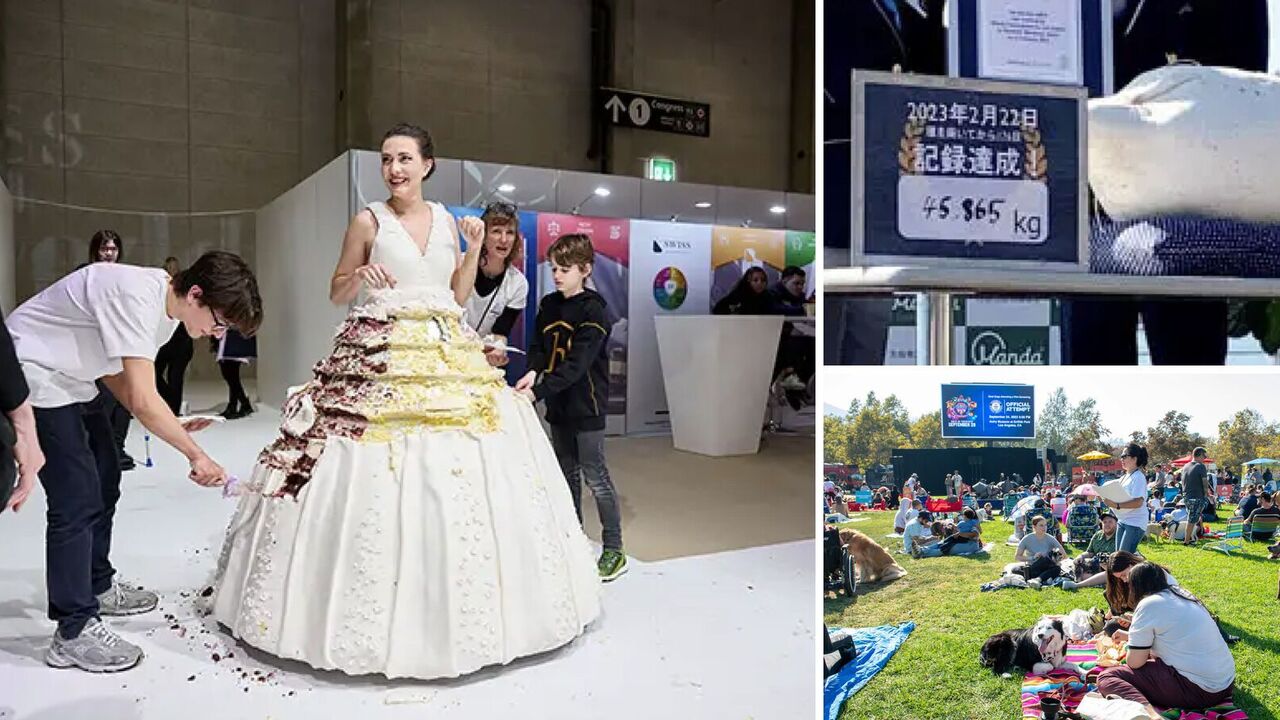 The most amazing world records of 2023: from an edible wedding dress to the longest underwater kiss. Photos and videos