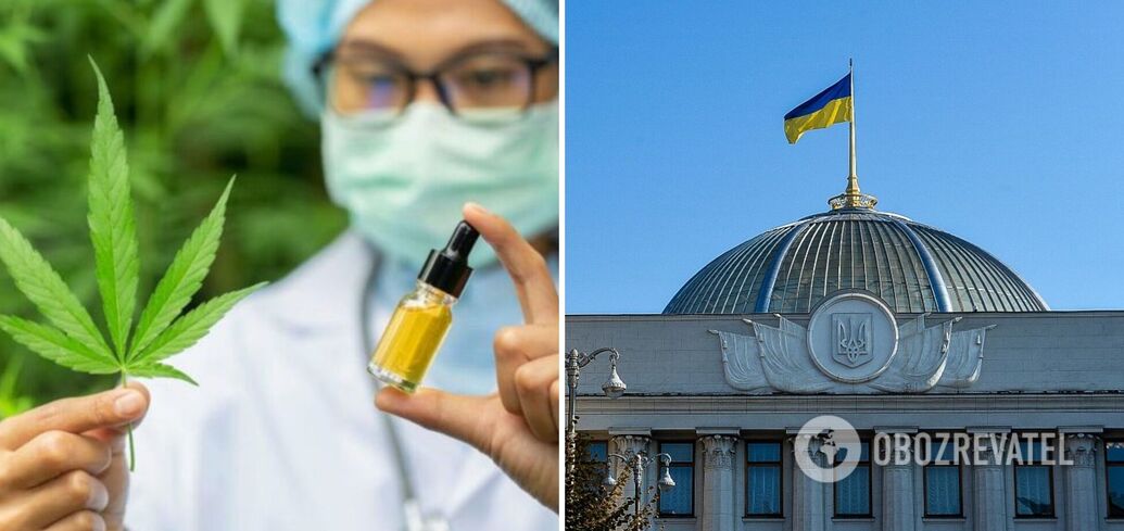 Members of the Rada supported the bill on medical cannabis: what it provides for