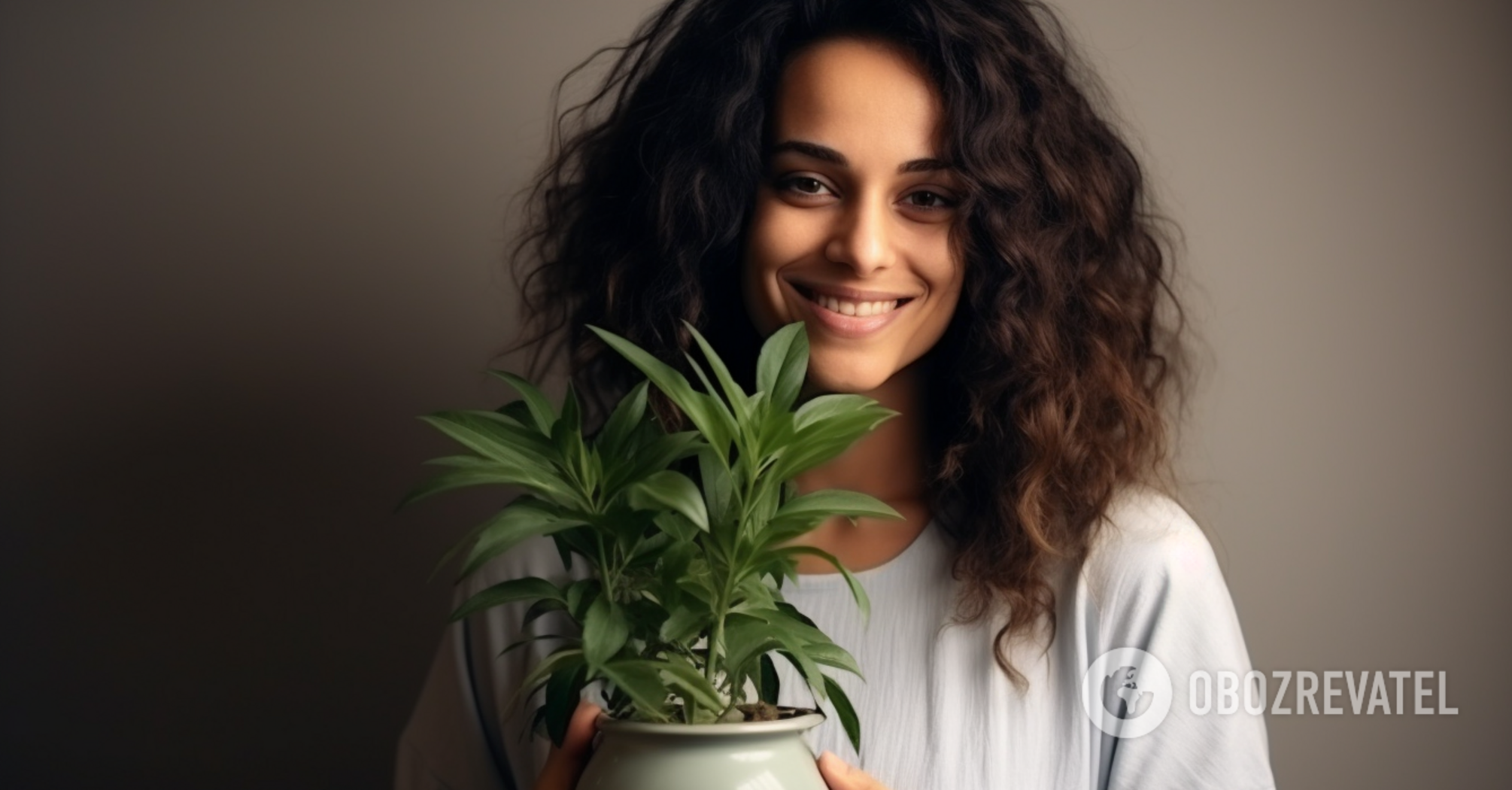 Helpers in the fight against stress: which indoor flowers can cheer you up
