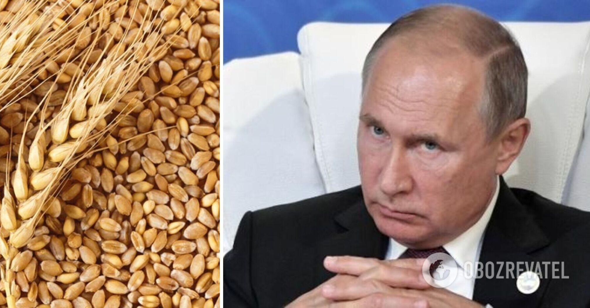 Russia stole millions of tons of grain from Ukraine