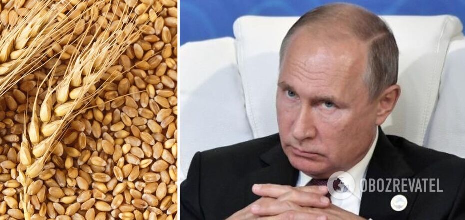 Russia stole millions of tons of grain from Ukraine