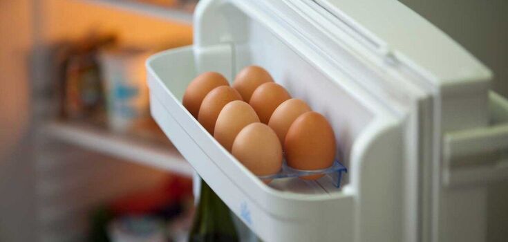 How to keep eggs fresh without a refrigerator: three simple ways