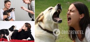 How dogs choose whom to bark at: people who annoy animals