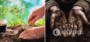 How to wash hands after gardening: simple methods