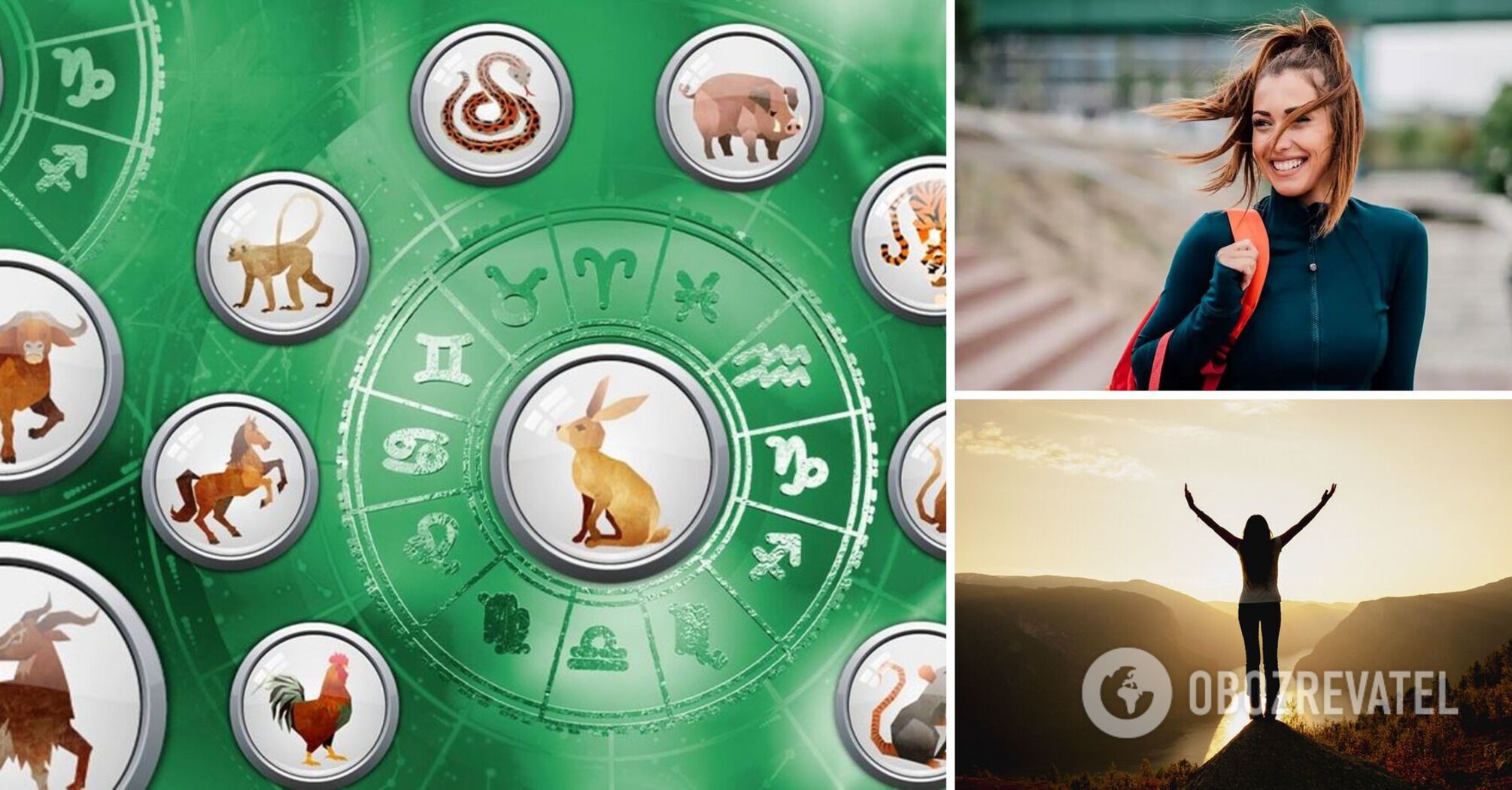 What qualities will help each sign achieve their goals: Chinese horoscope