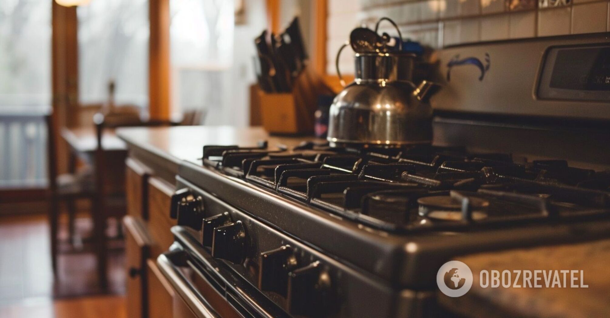 How to clean off the dirt from any stove after holiday preparations: tips