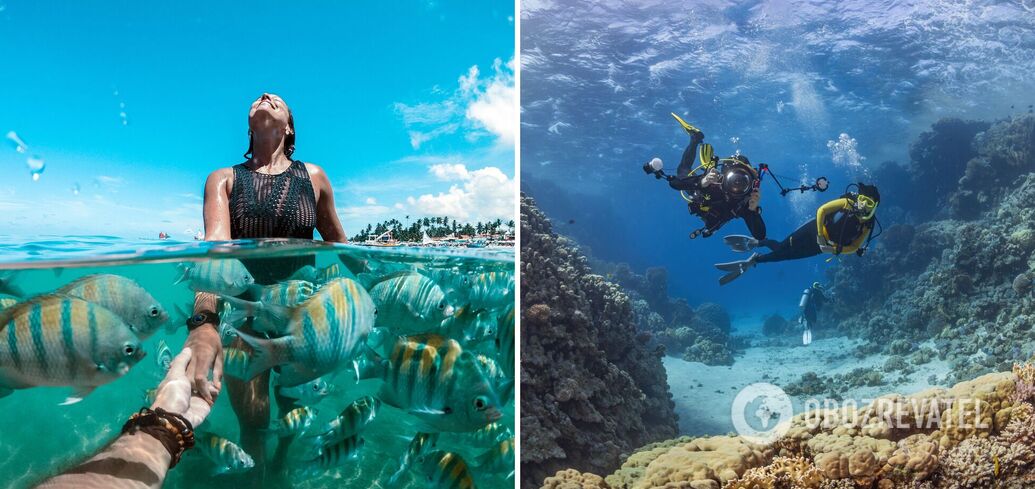 Where to have fun: the world's best places to dive