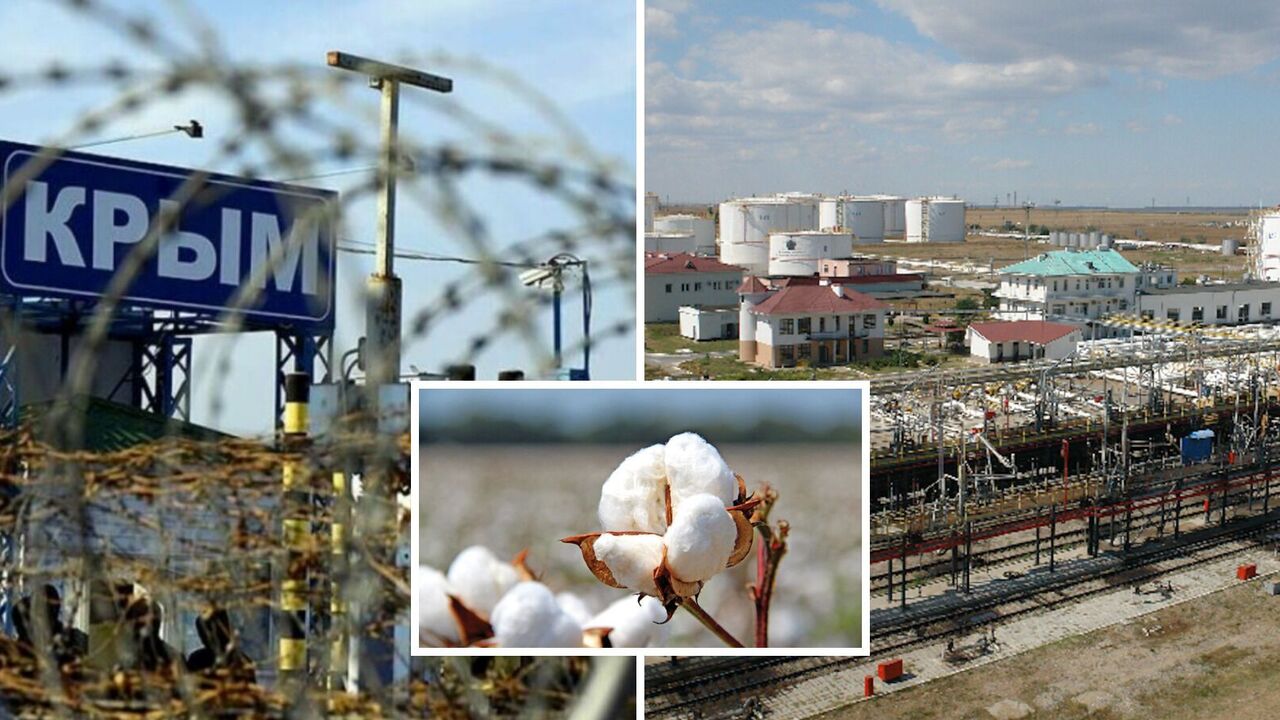 SSU and DIU hit "Offshore Oil Terminal" in Feodosia: New details