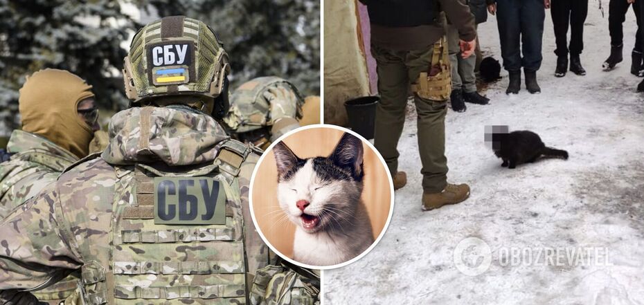 The cat-agent of the Security Service of Ukraine amused the network