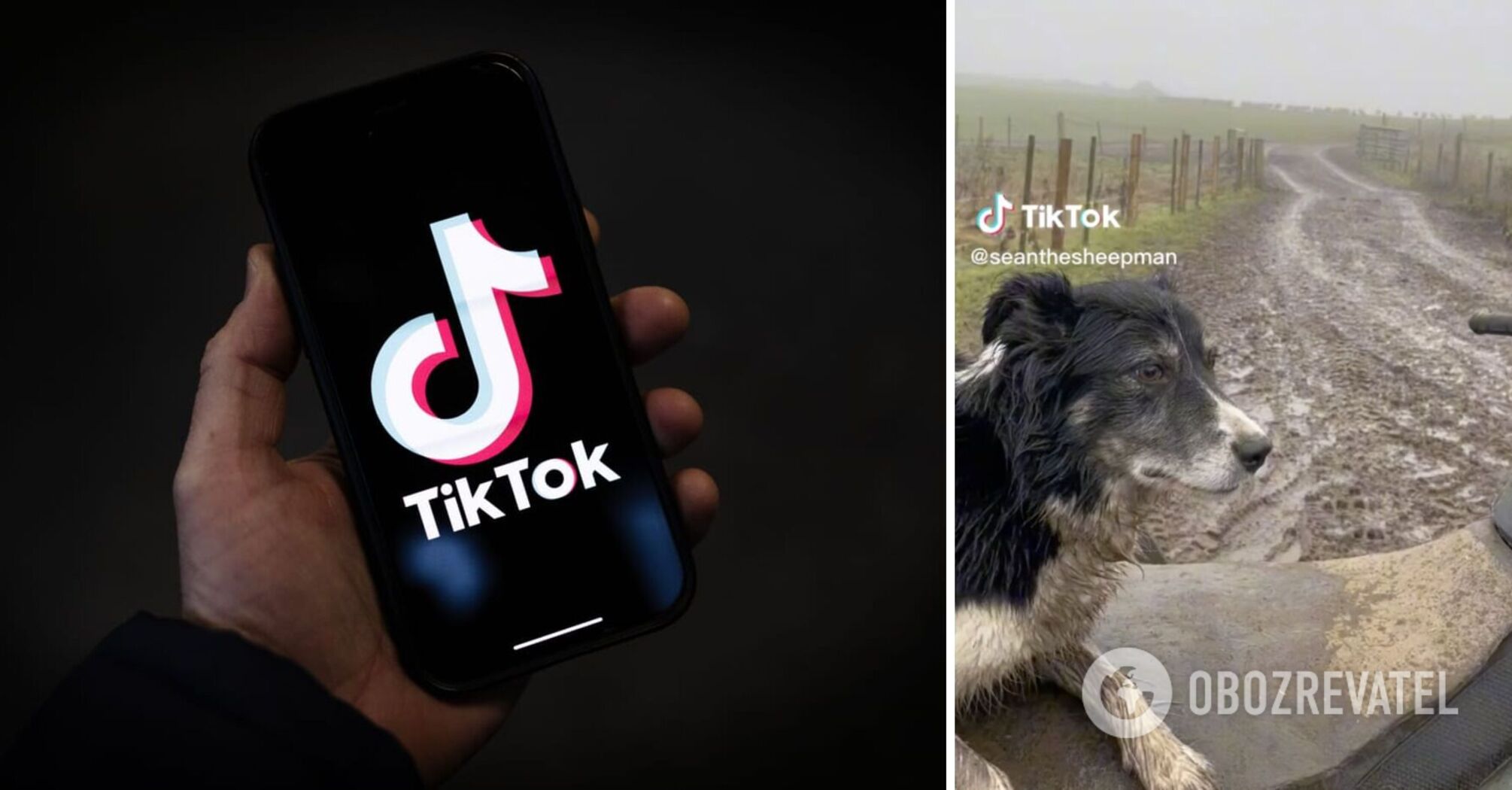 111 milionów wyświetleń: TikTok zaprezentował najpopularniejsze filmy 2023 roku