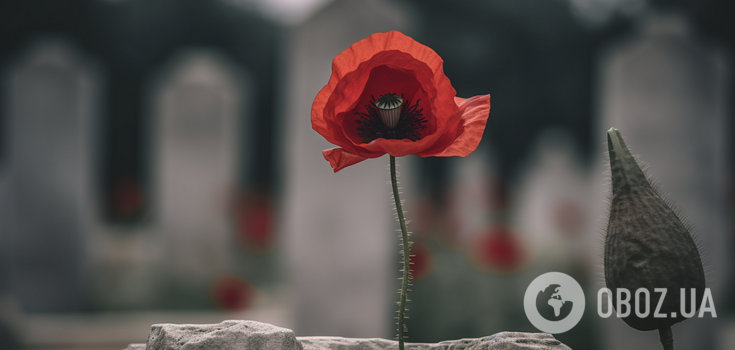 Flowers not to plant on graves: what to replace them with