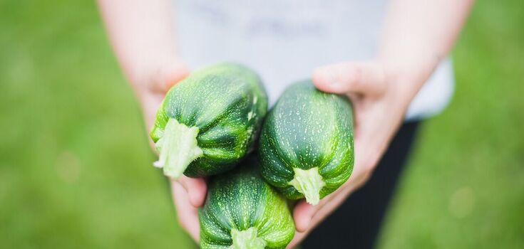 Delicious baked zucchini with cheese and tomatoes: cooked in 15 minutes