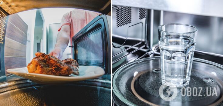 How to heat food in the microwave properly: almost everyone makes this mistake