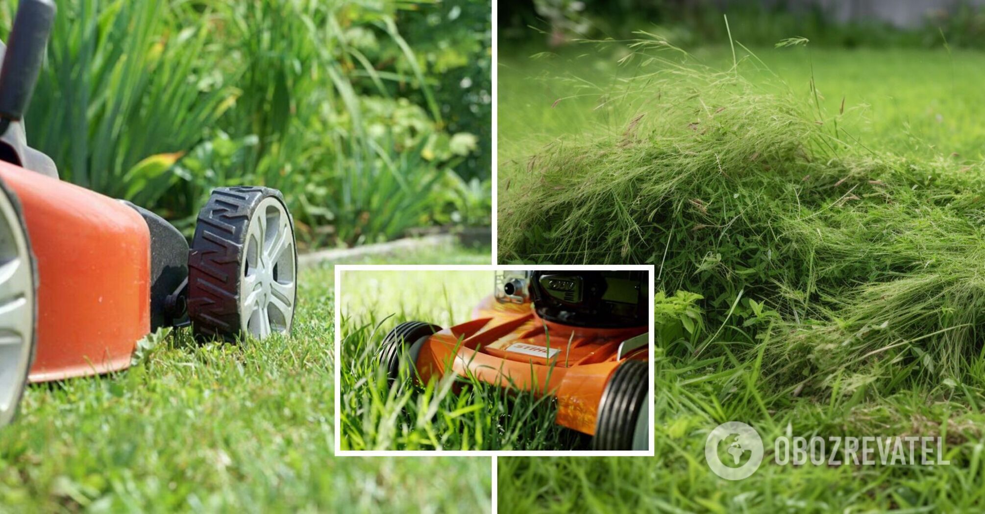 Can you leave cut grass on the lawn: experts provided an answer