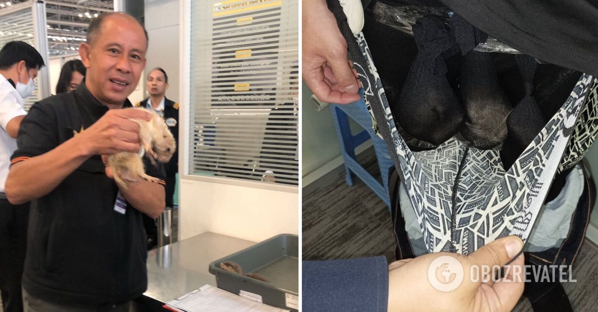 A tourist trying to smuggle an otter and a prairie dog in his underwear detained at Thailand's airport. Photo
