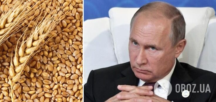Putin threatens to leave the grain deal and wants to "buy" Africa