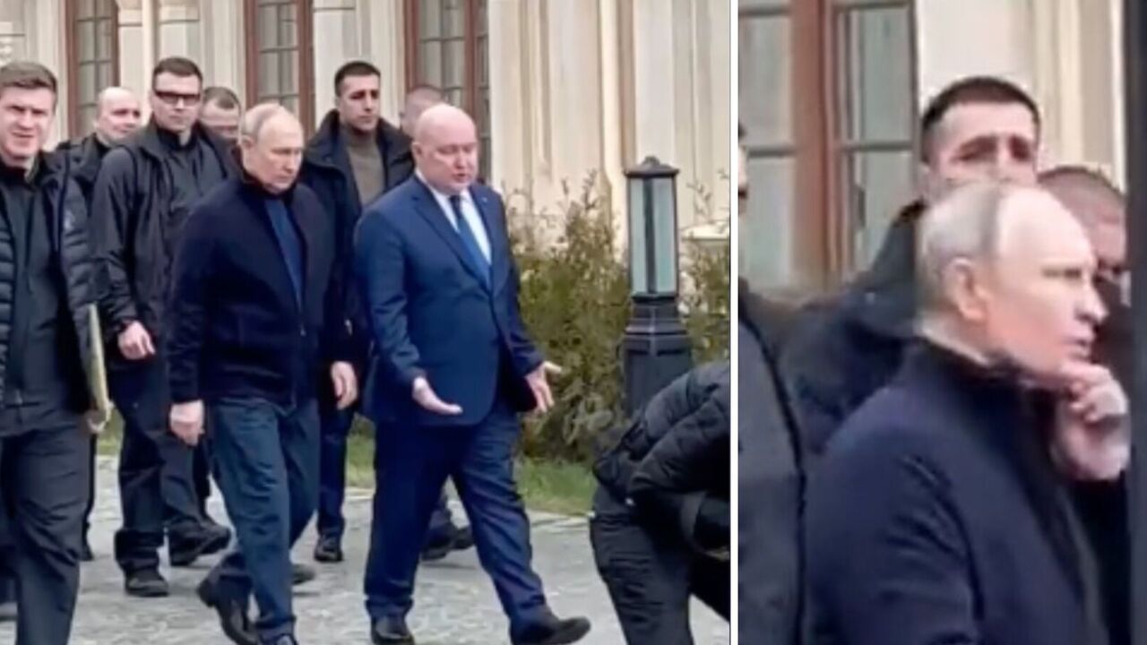 Is it possible to identify Putin's double by his ears? Media analysed all versions and pointed out "nuances"