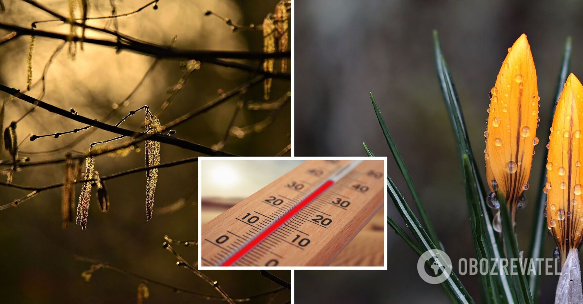 Spring +15 and light rain: forecasters told what to expect from the weather on Wednesday. The map