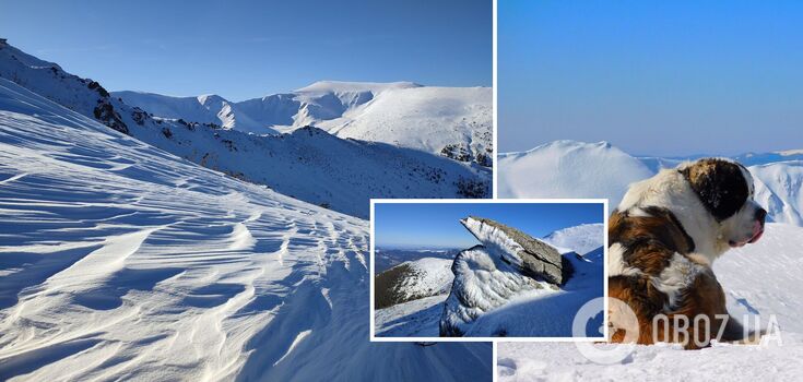 Snow in the Carpathians in March
