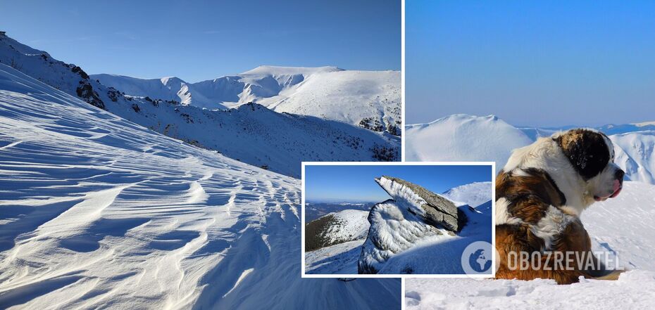 Snow in the Carpathians in March