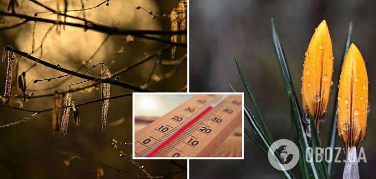 Spring +15 and light rain: forecasters told what to expect from the weather on Wednesday. The map